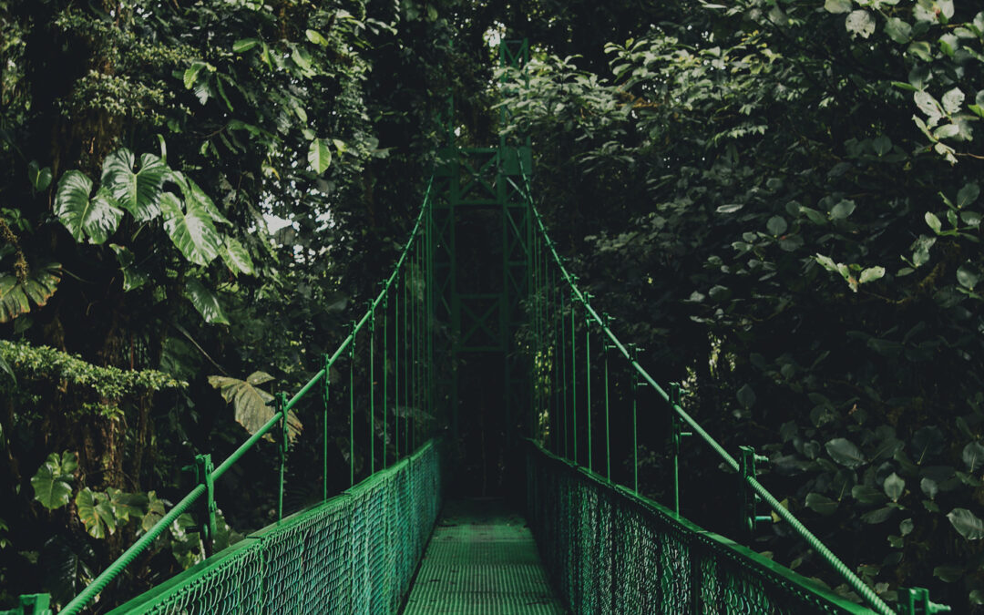 Nomadic life begins | Are you ready to follow your dream?